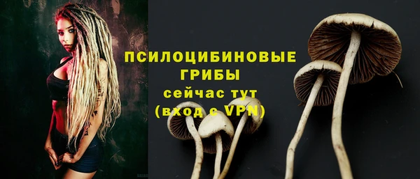 альфа пвп Дмитриев