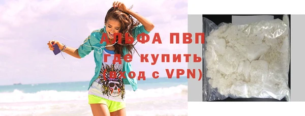 хмурый Нея