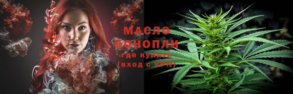 стафф Гусев