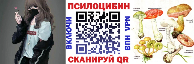 Галлюциногенные грибы Psilocybine cubensis  Питкяранта 